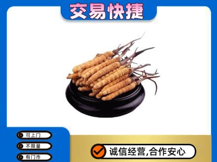 莆田市礼品回收散虫草.jpg